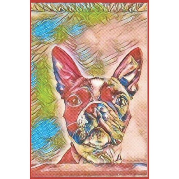 Boston Terrier (Paperback)