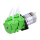 thumbnail image 1 of GROTHEN Bomba peristáltica de alto flujo de doble cabezal DC 12 V / 24 V Bomba dosificadora de agua Abanopi 12V 1mmx3mm, 1 of 7
