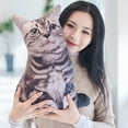 thumbnail image 5 of Kraoden Cat Plush Body Pillow, Cat Stuffed Animal, Soft Plush Pillow, Kitten Plush Throw Pillow Doll Big Plush Toy Decoration Doll Gift for Kids Boys, 5 of 8