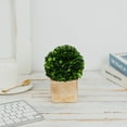 thumbnail image 3 of BOXWOOD WORLD Preserved Boxwood Ball Topiary for House Decor Potted Preserved Mini Boxwood Topiary All Season Green Topiary Decor, 3 of 8