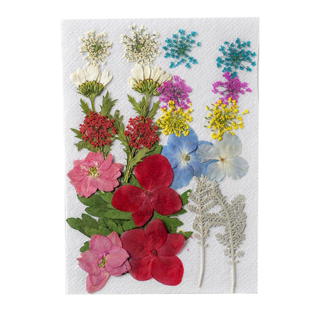 Flores secas naturales Flores prensadas en relieve artístico DIY colorido hermoso ornamento postales para tarjetas de boda velas de resina colorido Advancent HA010800-01