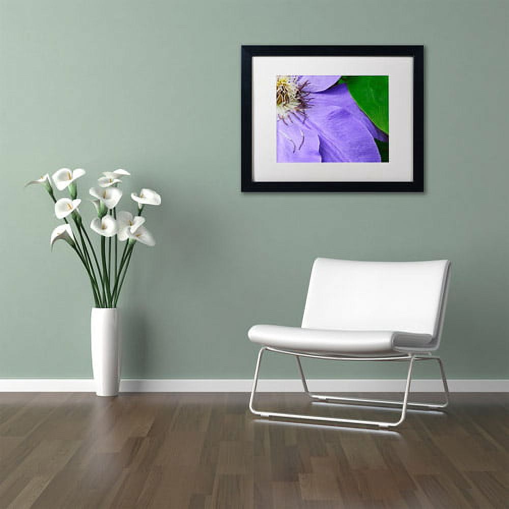Trademark Fine Art "Clematis Abstract" Canvas Art by Kurt Shaffer White Matte, Black Frame