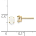 thumbnail image 2 of 14K Yellow Gold Opal Earrings - October, 2 of 2