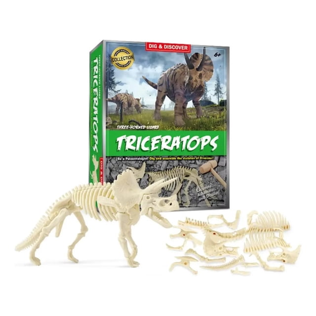 Set Excavacion Fosiles Dinosaurio Juguete Triceratops.