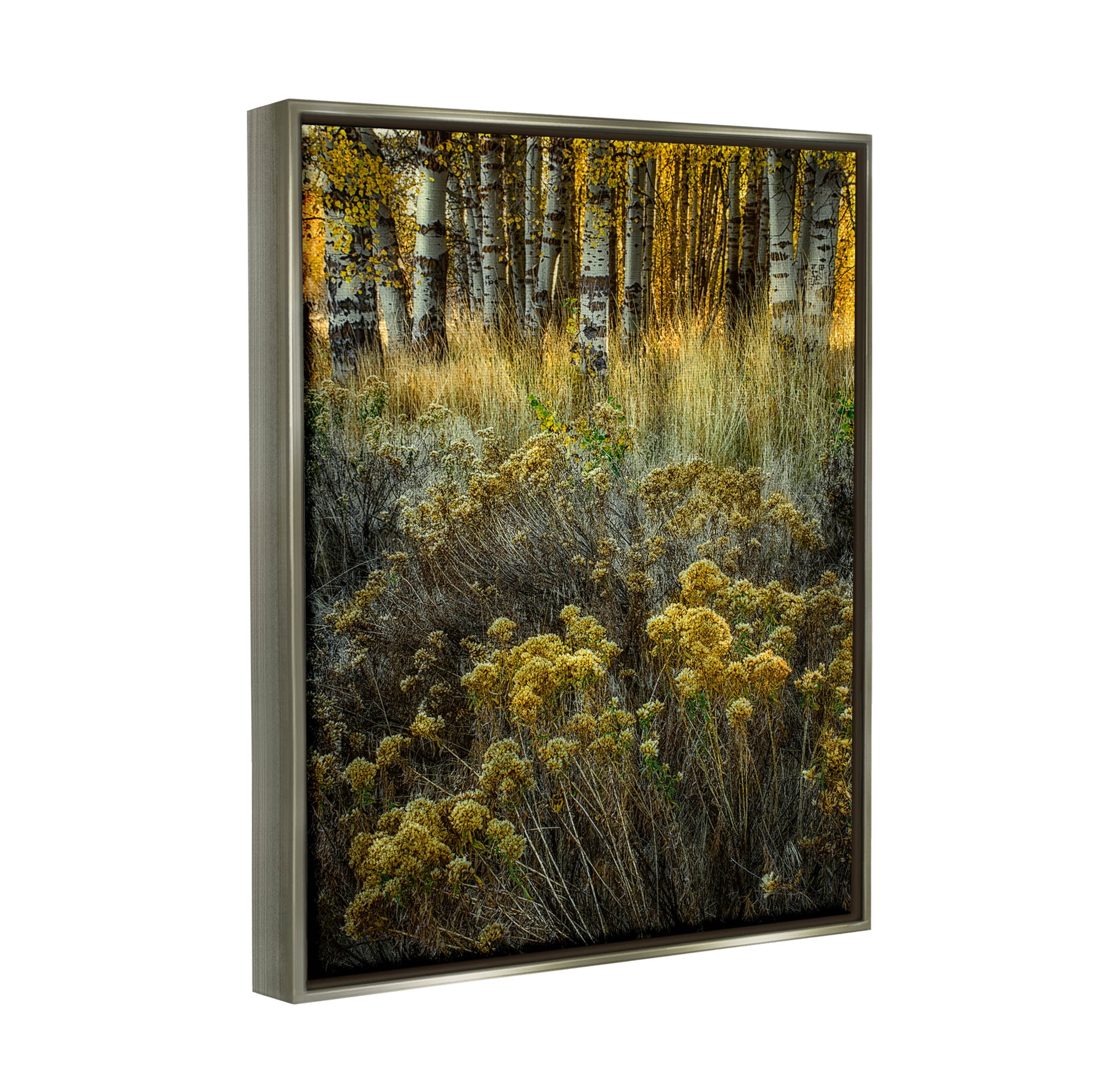 Stupell Industries Woodland Wildlife Plants Yellow Blossoms Photograph Luster Gray Floating Framed Canvas Print Wall Art, Design by David Lorenz