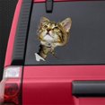 thumbnail image 1 of Car Stickers 3D Stereoscopic Visual Stickers Mouse Creative Stickers Sticker Hole Bumper T1F4, 1 of 1