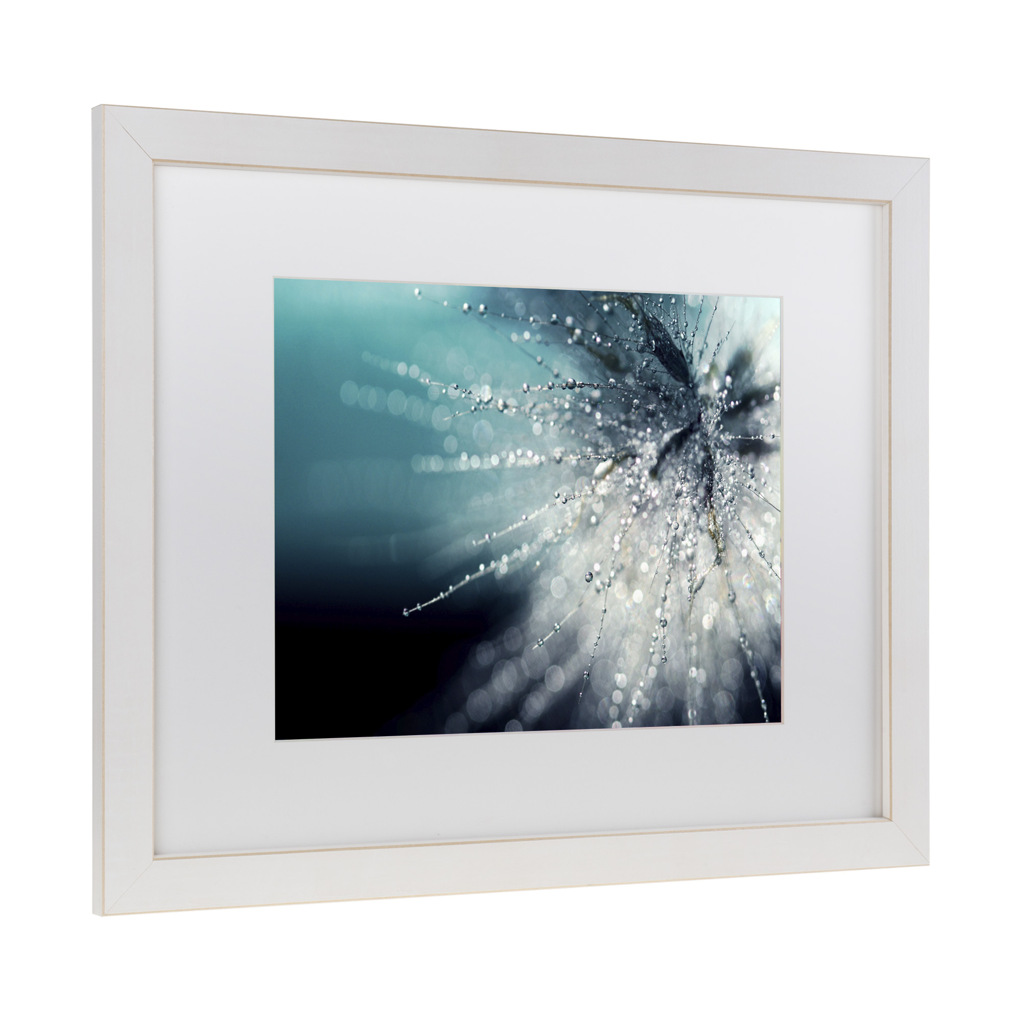 Trademark Fine Art 'Morning Sonata' Matted Framed Art by Beata Czyzowska Young