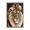 Lion Geometric Border, variant on Stupell Industries Eclectic Giraffe with Geometric Border Canvas Art, 16 x 20, by Lucca Sheppard