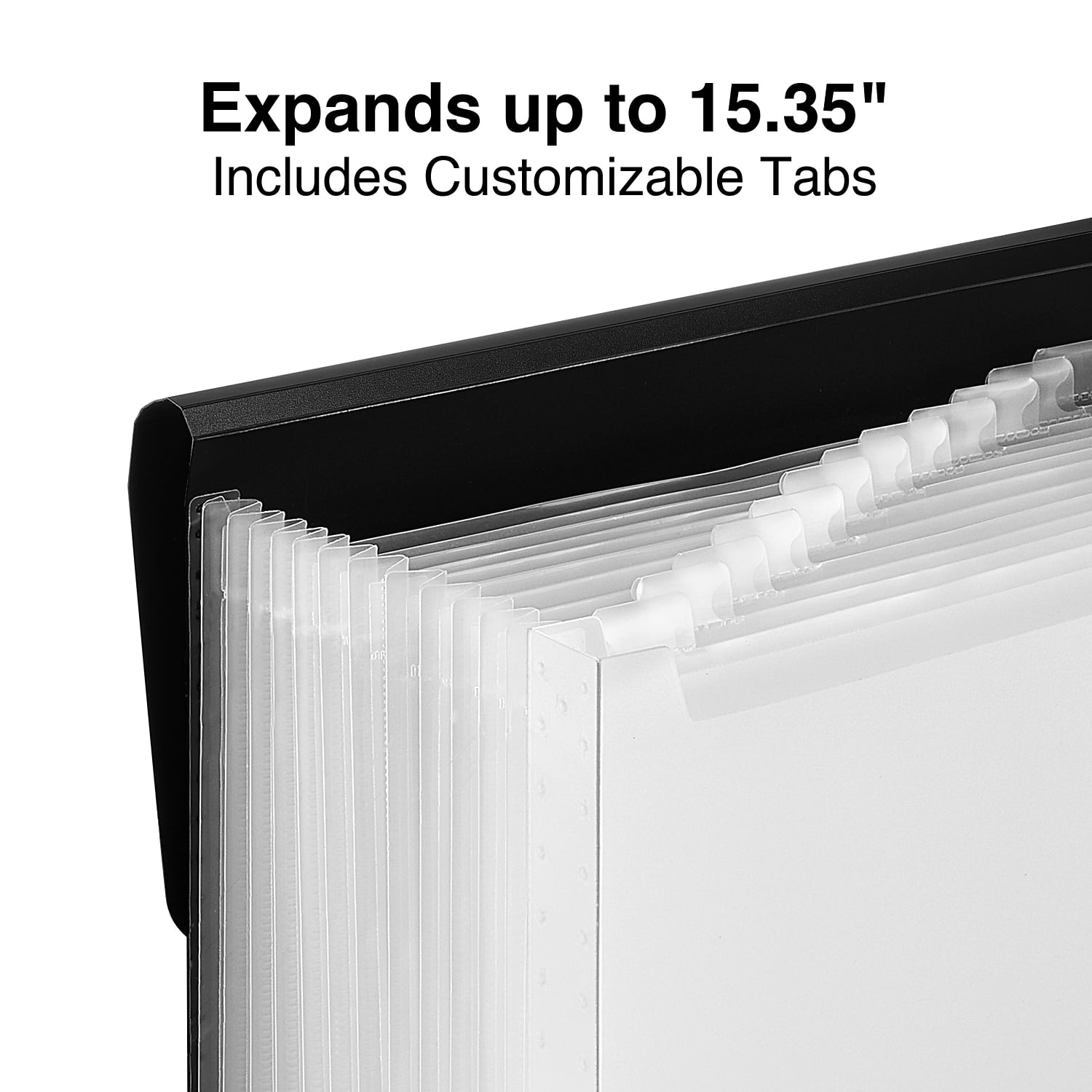 Staples Moisture Resistant Plastic Accordion File 13-Pocket Letter Size Black (TR51806)