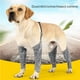 thumbnail image 5 of Funda Protectora Para Piernas De Mascotas Con Manga De Cuatro Patas Para Perros Envoltura Protectora Para Piernas De Cachorros Para Uso En Interiores Y Exteriores Speravity PT001479-02, 5 of 7