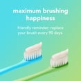 thumbnail image 4 of hello Adult Soft Bristle Toothbrush Pack, Blue and Green, 2 Count, 4 of 9