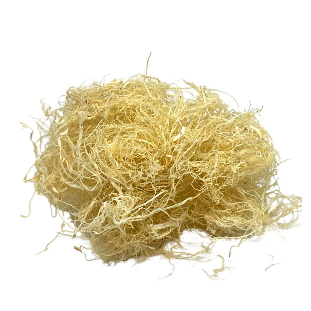 Raw Organic Sea Moss