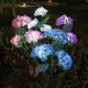thumbnail image 1 of Linterna de jardín solar LED Luz de flor decorativa al aire libre | Automático desde el anochecer hasta el amanecer | IP55 a prueba de agua | 3 LEDs blancos | Acero inoxidable y seda | 81cm de, 1 of 5