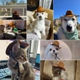thumbnail image 4 of Dog Cowboy Hat with Black Star Band, Khaki, for Small Dogs and Cats, Accessory, 4 of 5