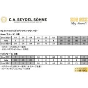 SEYDEL BIG SIX Folk SOLO Harmonica