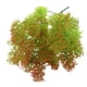 thumbnail image 3 of Plantas artificiales de musgo de plástico de 35 cm para arreglos florales de bodas y fiestas. rojo, 3 of 9