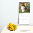 thumbnail image 2 of Shetland Sheepdogs 2025 12 X 24 Inch Monthly Square Wall Calendar Plastic-Free, (Paperback), 2 of 9