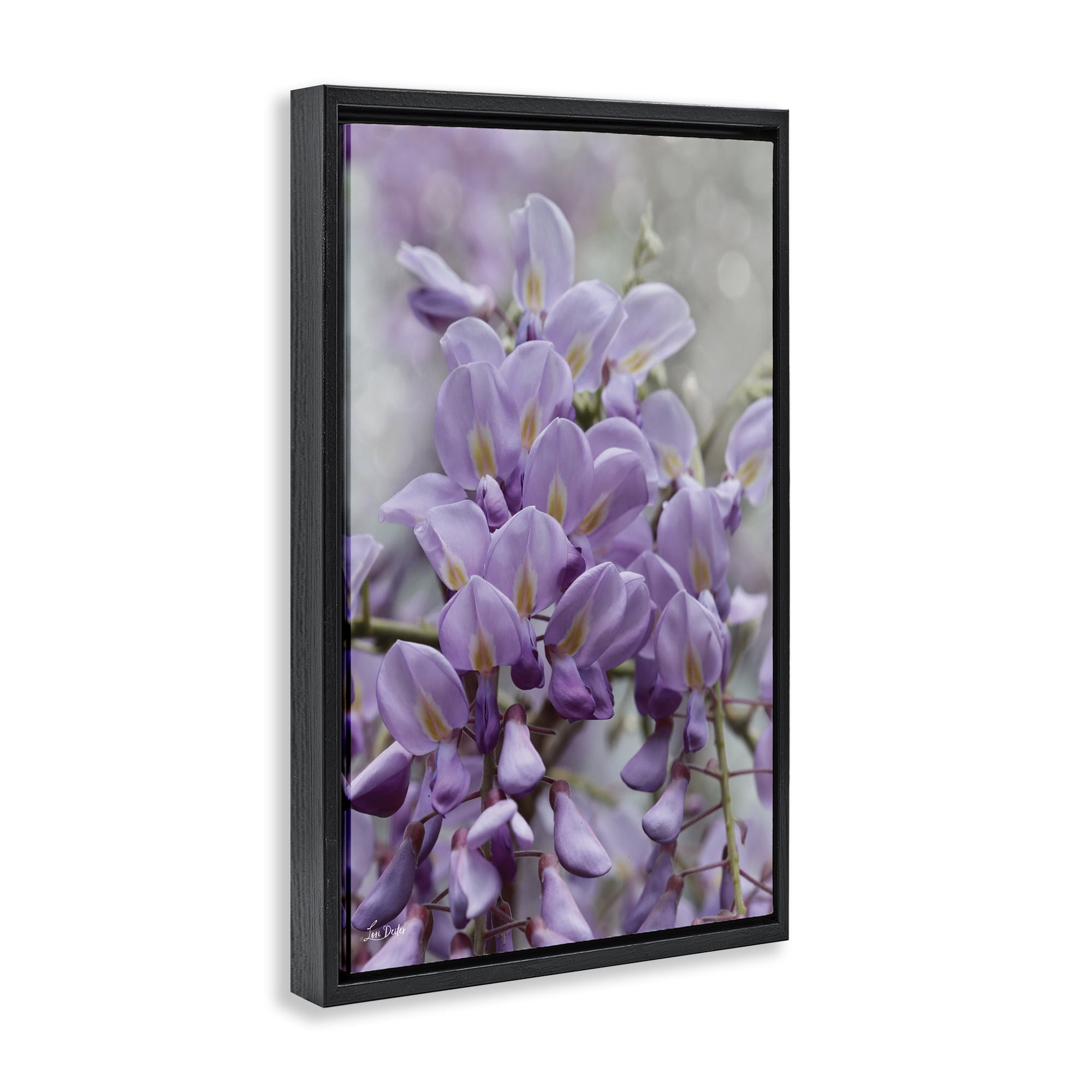 Stupell Industries Purple Orchid Petals Plants & Flowers Photography Black Floater Framed Canvas Art Print Wall Art, 17 x 25