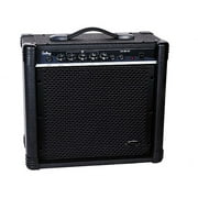 Challenge 20-Watt Bass Amplifier