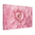 thumbnail image 4 of Cora Niele 'Pink Flower Petals' Canvas Art, 4 of 4
