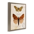 thumbnail image 3 of Stupell Industries Cottage Butterfly Latin Studies Brown Floating Frame Canvas Art, 25 x 25, by Susan Arnot, 3 of 8