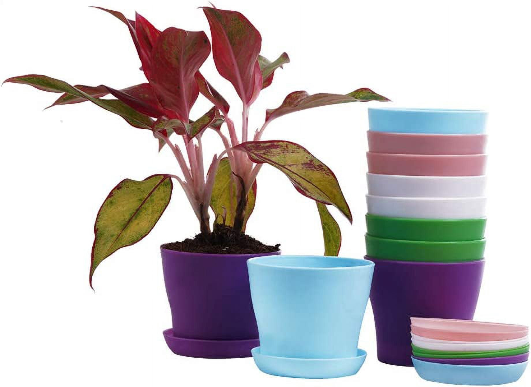Plastic Plant Pots,8 Pack 5.5 Inches Medium Plastic Plant Flower Pot with Saucers, Topboutique Seedlings Nursery Pots Planter with Pallet, Planting Gardening Containers - Assorted (Multi Color)