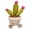 Cactus, variant on Easter Decor Cute Potted Plants Plush, 11.8‘’ Stuffed Flower Pot Bouquet Decor for Desk, Nursery, Bedroom & Office, Ideal Gift for Kids, Teens & Adults
