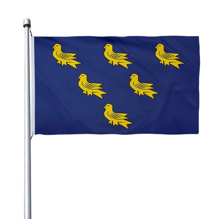 Aihccy Sussex Flag British County Banner with Brass Grommets Size - 3x5Ft
