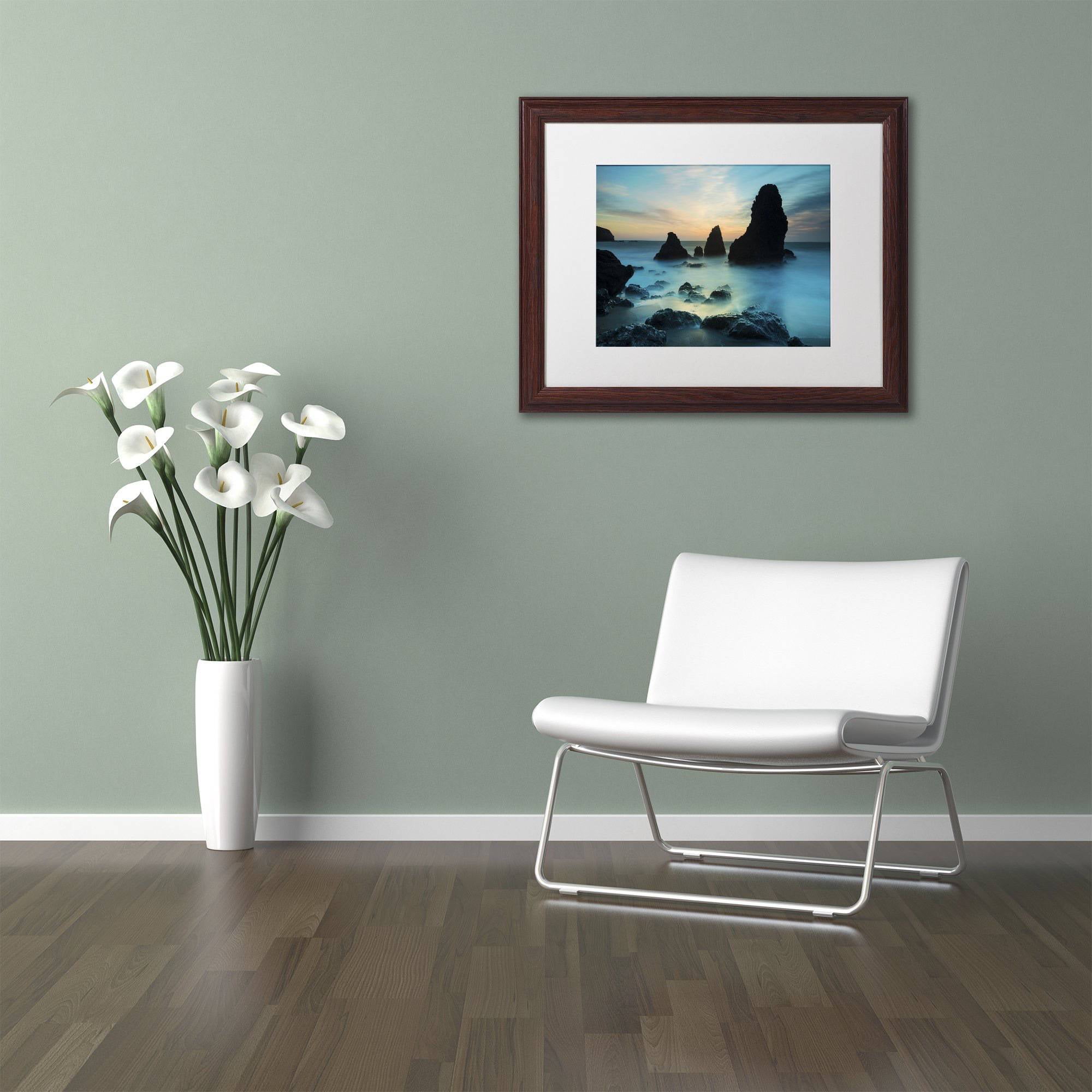 Trademark Fine Art "Rodeo Beach I" Canvas Art by Moises Levy White Matte, Wood Frame