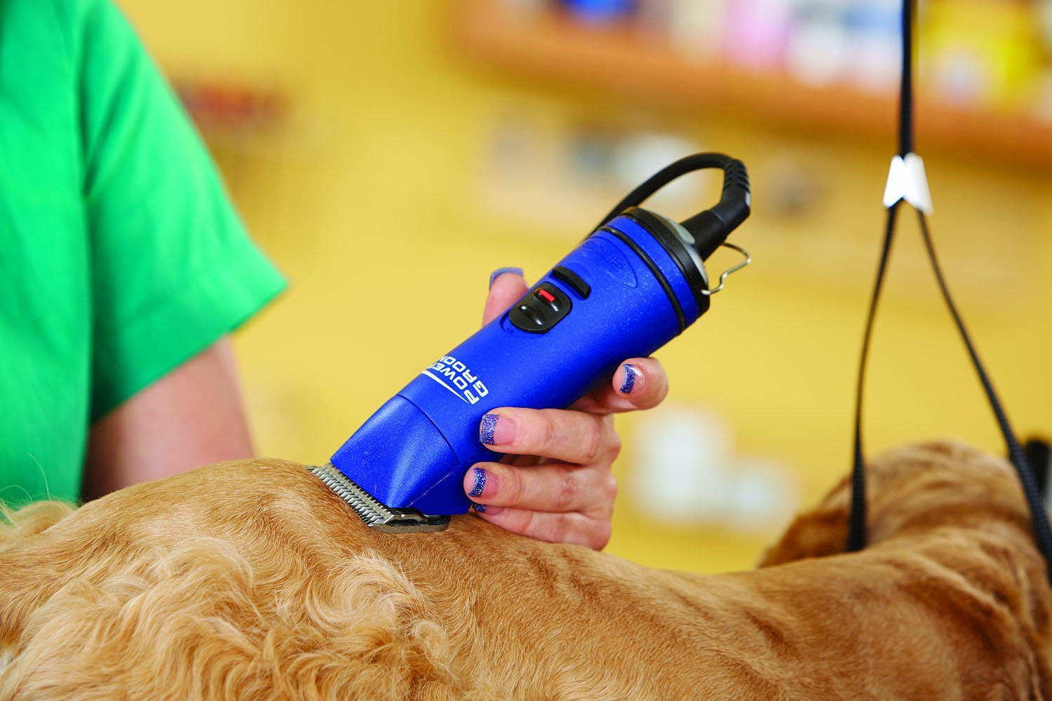 Andis top agrv powergroom
