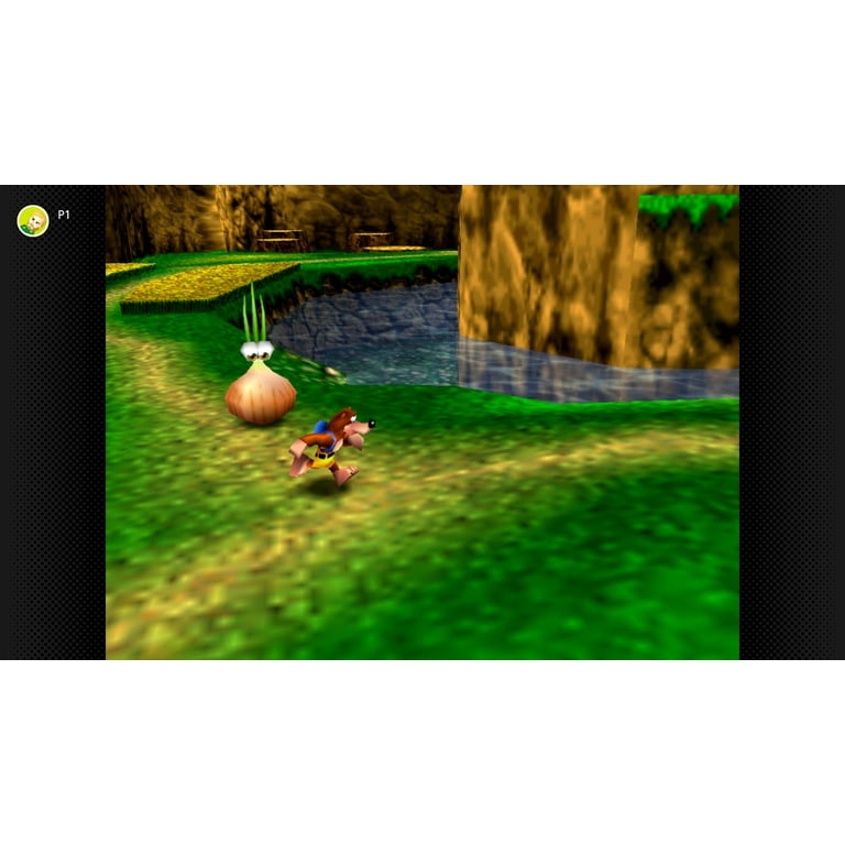 Banjo-Kazooie N64 Game,US Version - Walmart.com
