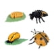 thumbnail image 4 of Figuras de ciclo de vida de animales, figuras de acción de vida educativas, figuras de jardín DIY, materiales de enseñanza para niños de 3, 4, 5, 6 y, 4 of 10