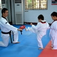 thumbnail image 5 of Double Clapper Target Focus Kick Striking Pad Karate Taekwondo Kickboxing, 5 of 8