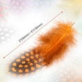 thumbnail image 3 of 120PCS Colorful Spotted Feathers 2-5 in, 10 Colors Chicken Feather for DIY Crafts Clothing Jewelry Wedding Party Decorations, 3 of 7