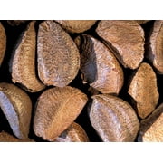 Fresh Raw In-shell Whole Brazil Nuts - 2 LB