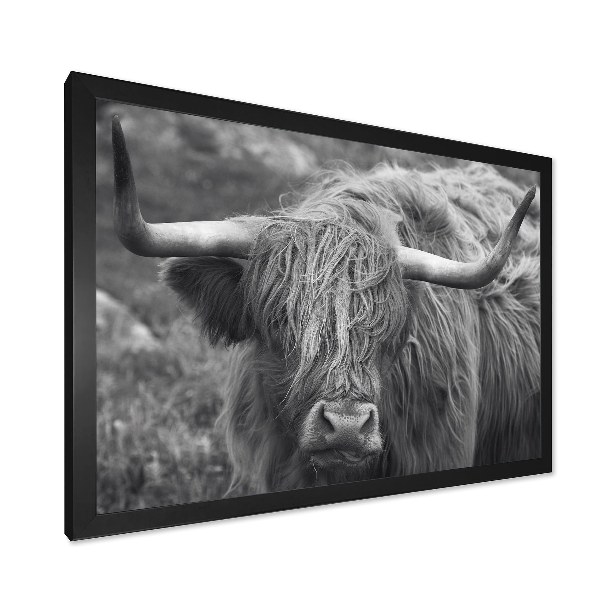 Designart 'Close Up Of Scottish Cow On Moorland I' Farmhouse Framed Art Print