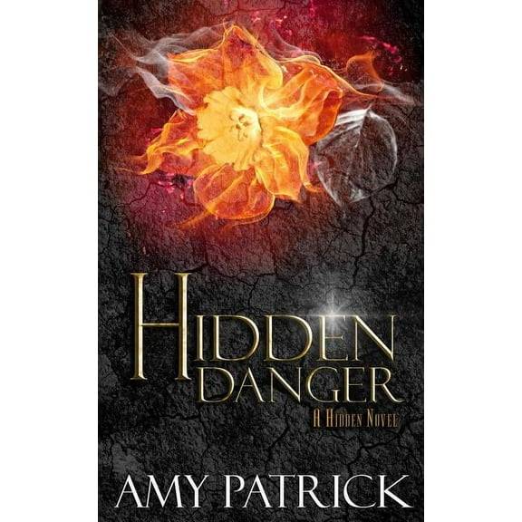 Hidden Saga Hidden Danger, Book 5 of the Hidden Saga: A Hidden Novel, Book 5, (Paperback)