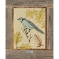 thumbnail image 3 of Appleman, Sam 15x18 Black Modern Framed Museum Art Print Titled - Blue Jay, 3 of 5