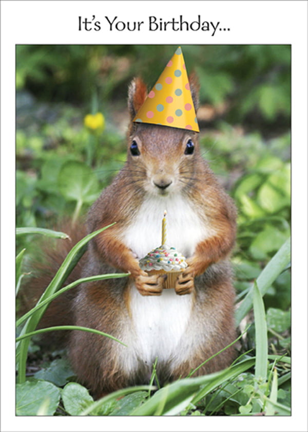 I Love Squirrels Birthday Card Greeting Card