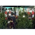 thumbnail image 5 of Countdown to Christmas 9-Movie Collection (DVD), Hallmark, Drama, 5 of 9