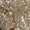 Gold, variant on Women's Deep V Long Sleeve Sequin Dress