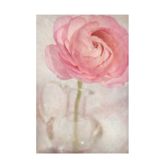 Trademark Fine Art Cora Niele Single Rose Pink Flower Canvas Wall Art - 30x47