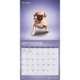 thumbnail image 4 of Yoga Puppies OFFICIAL | 2027 12x24" (Hanging) Wall Calendar | Plato, 4 of 9