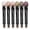 Desert Wild, variant on Neutral Eyeshadow Stick Makeup 6PCS Set, Brown Nude Metallic Shimmer Matte Cream Eye Shadow Eyeliner Brightener Pencil Crayon - BROWN CANYON