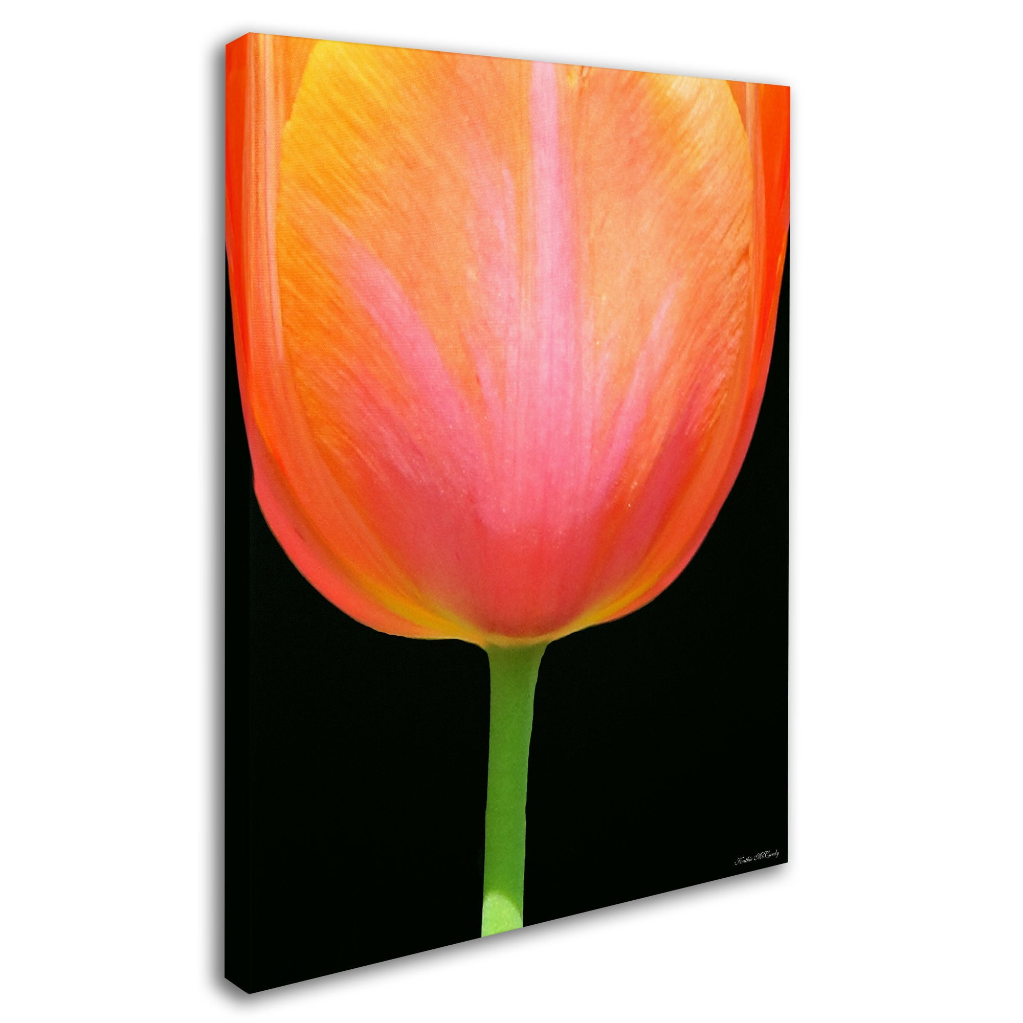 Trademark Fine Art "Orange Tulip" Canvas Art by Kathie McCurdy