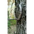 thumbnail image 3 of Cowboy Hat & Coat Rack, Real Horseshoes, Made by Blacksmith in US, 3 of 7