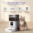 thumbnail image 2 of Comedero automático para gatos ANDOLLHOME con grabadora de voz 10s 4L, 2 of 9