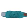 thumbnail image 4 of perrito perro fisiológico pantalones femal perros sanitario pa?al verde - m Sunnimix Pantalón corporal para perros, 4 of 7