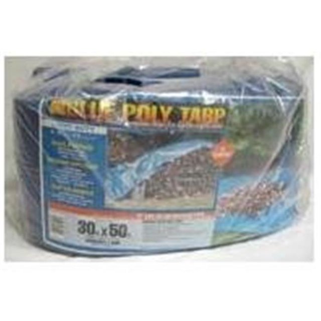 Dize PT3050D Bâche Poly 30 x 50 Pi, Bleu