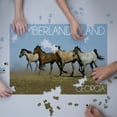 thumbnail image 3 of Cumberland Island, Georgia, Wild Horses Running (1000 Piece Puzzle, Size 19x27, Challenging Jigsaw Puzzle for Adults and Family, Made in USA), 3 of 4